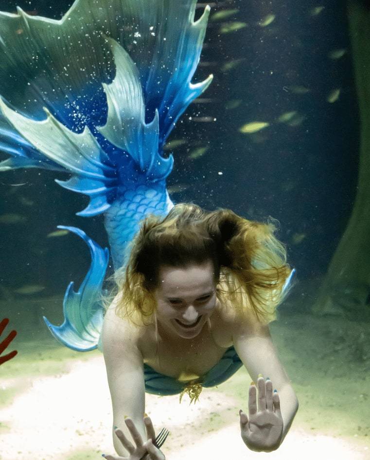Hire Mermaid Molly Flora for Your Next Event